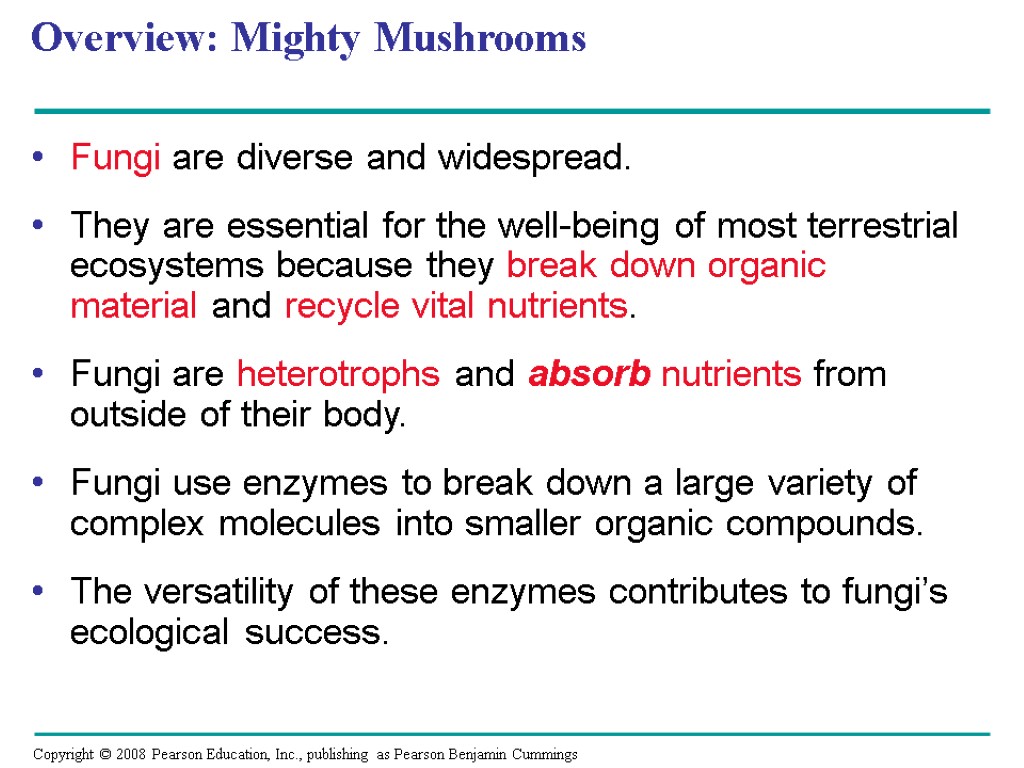 Overview: Mighty Mushrooms Fungi are diverse and widespread. They are essential for the well-being